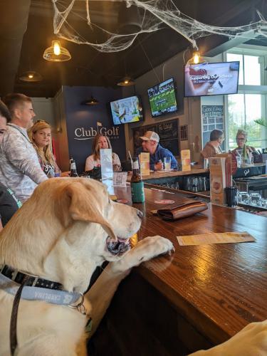 PXL 20221029 203126188.MP 